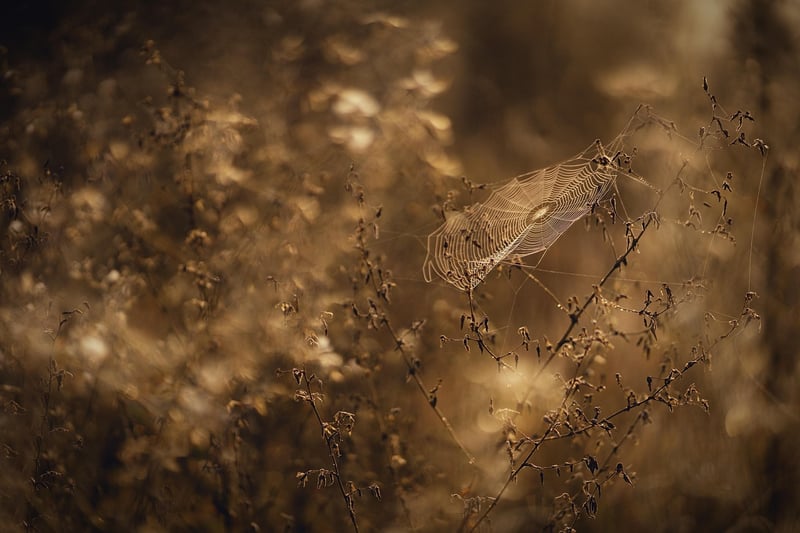 Subtle Gusts